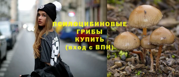 стаф Слюдянка
