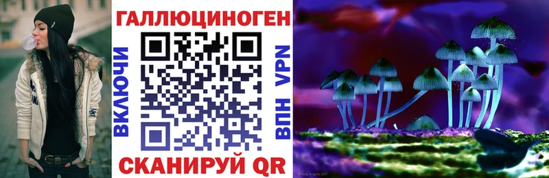 Галлюциногенные грибы Psilocybe  Альметьевск 
