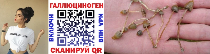 Псилоцибиновые грибы Magic Shrooms Альметьевск