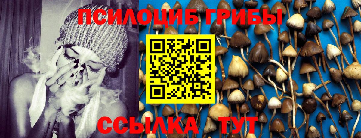 даркнет сайт  Вход с VPN  Альметьевск  Галлюциногенные грибы Psilocybine cubensis  Галлюциногенные грибы Cubensis 